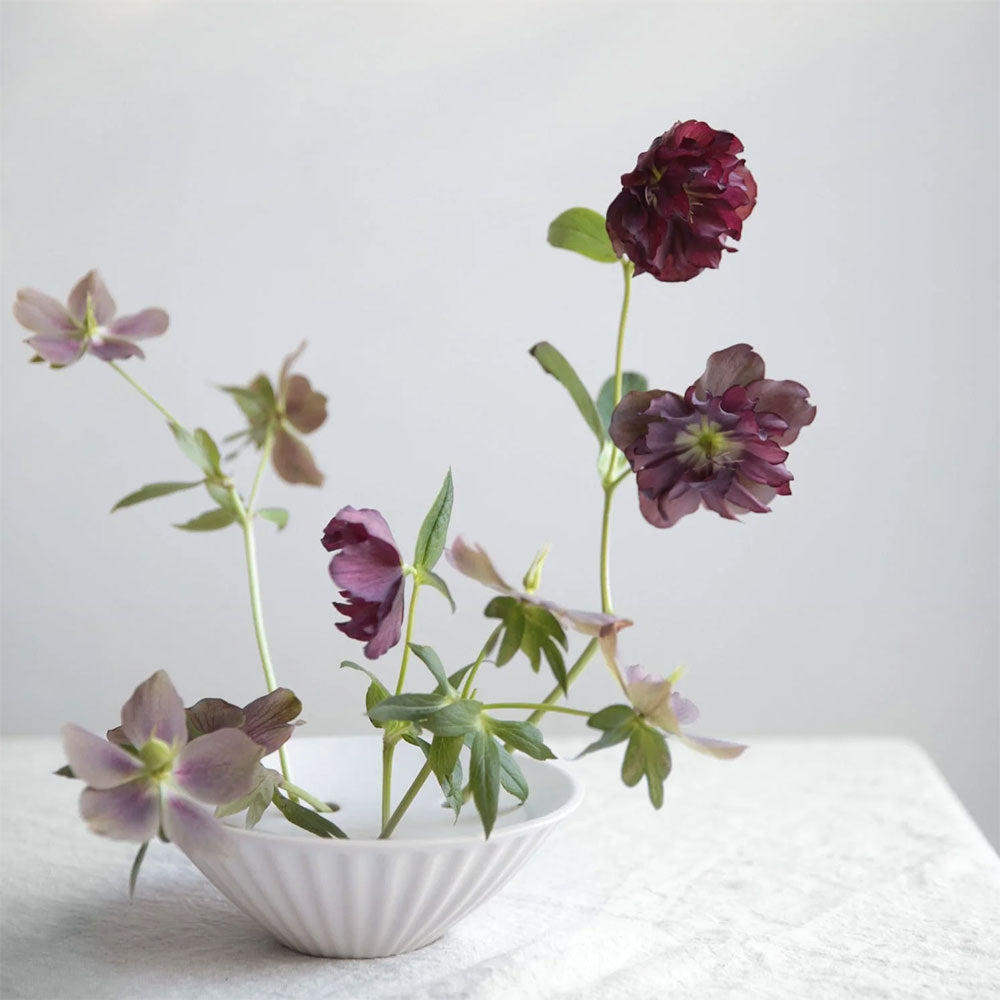 Ceramic Fluted Flower Frog Dish