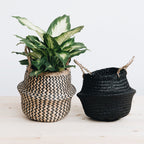 Belly Mini Basket